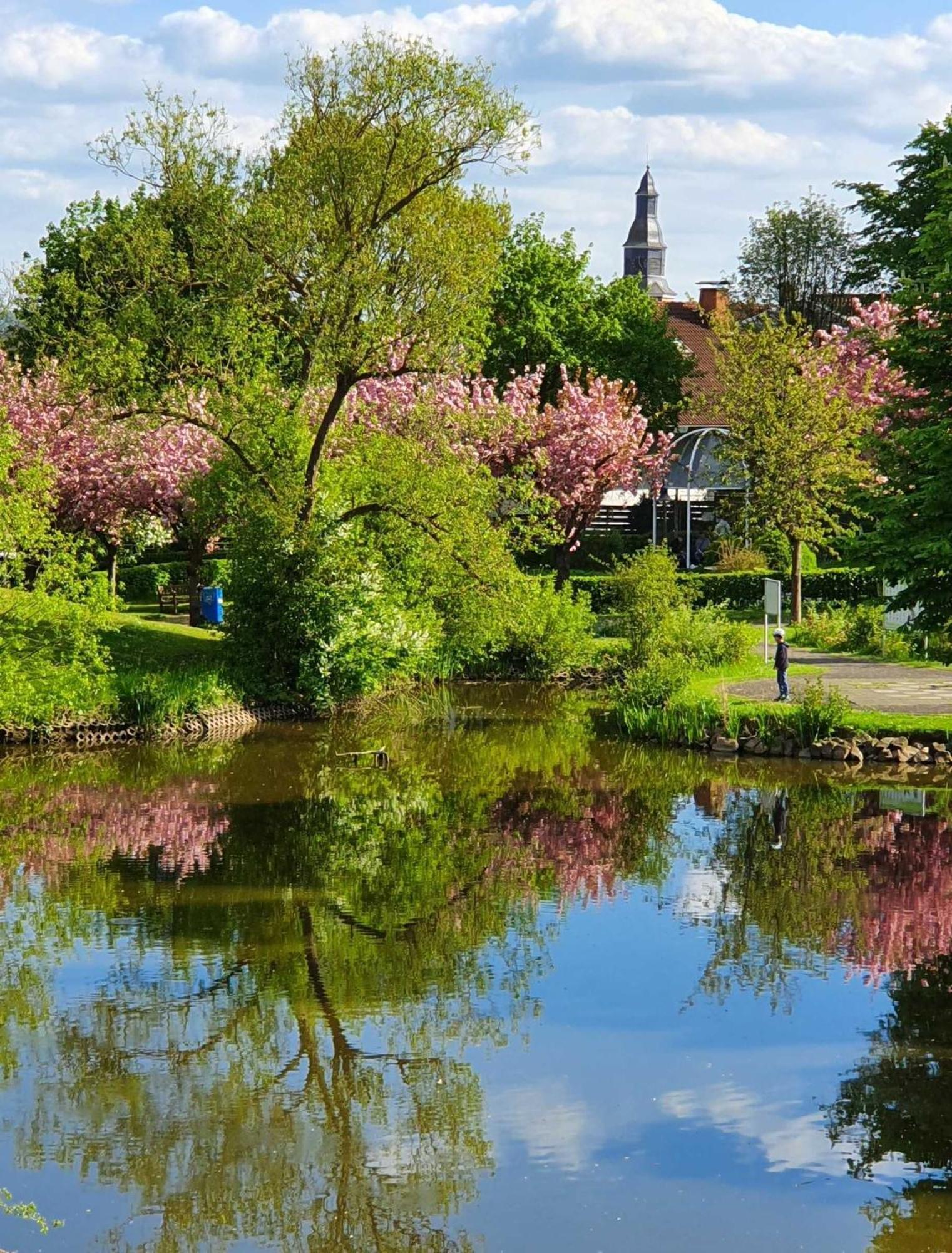 Kleinod Am Kurpark Διαμέρισμα Bad Zwesten Εξωτερικό φωτογραφία